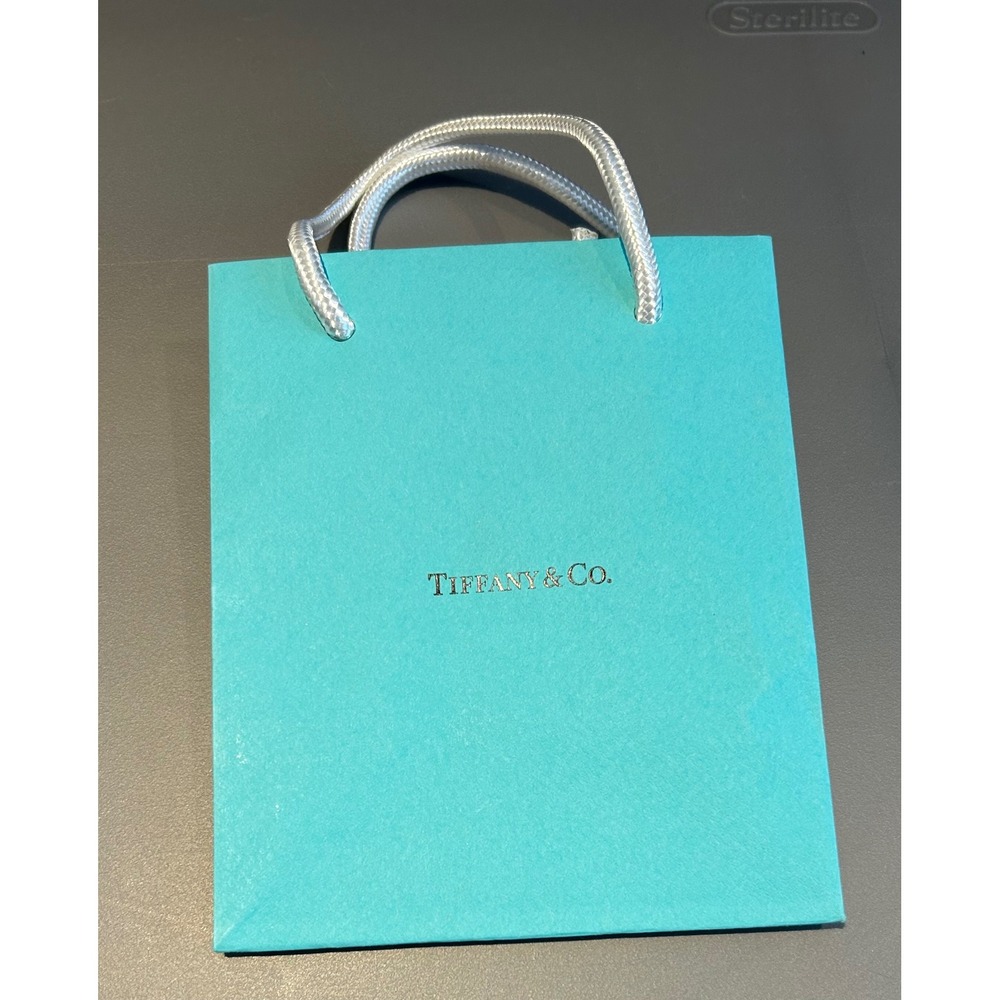 Tiffany & Co Small Shopping Gift Bag Blue Paper Woven Handles 5x6 Mini Logo Bag